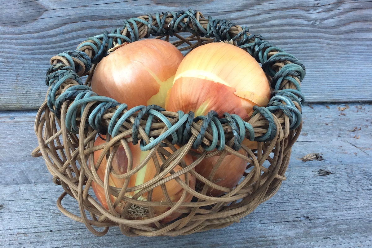 You are currently viewing Basket Weaving Intro with Amy Dugas