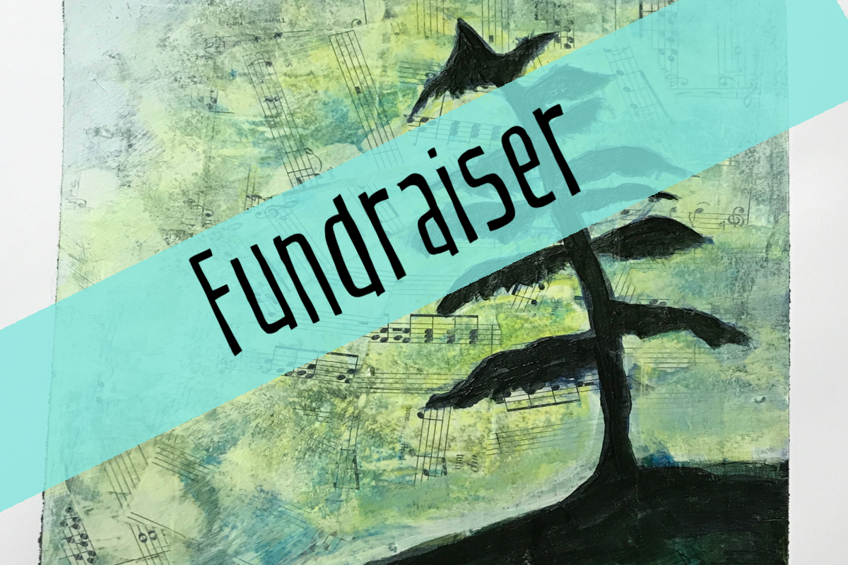 You are currently viewing Fundraiser for Comox Valley Transition Society