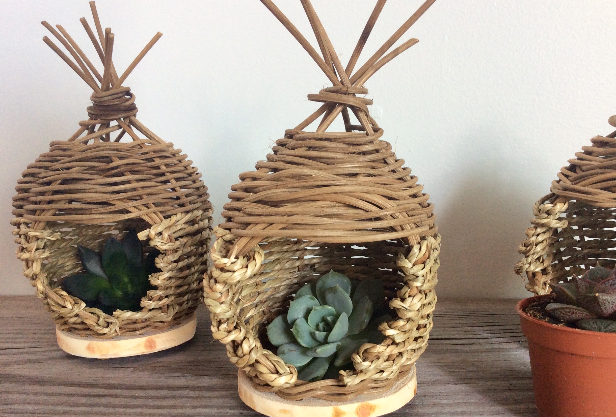 You are currently viewing Woven Air Planters with Amy Dugas