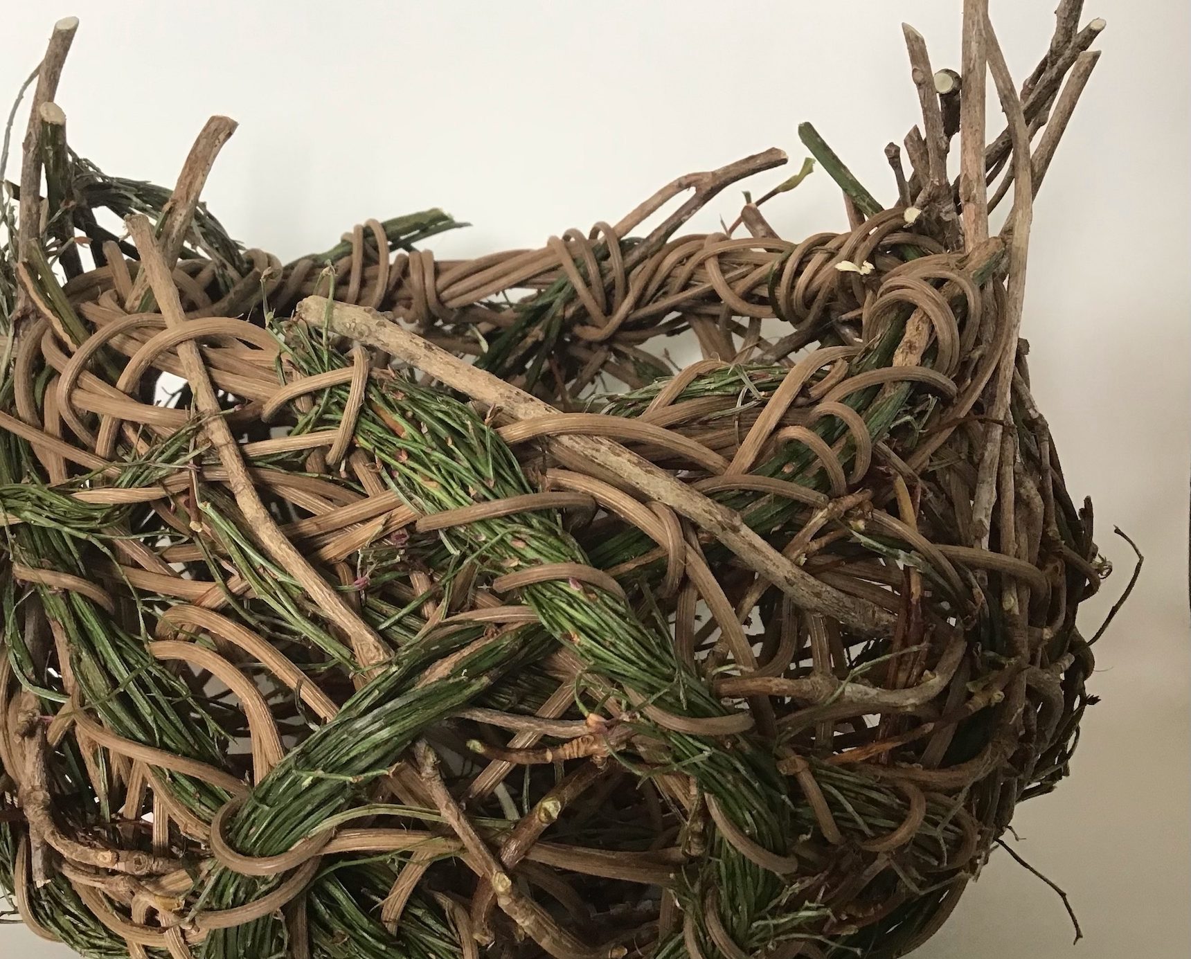 You are currently viewing Bird’s Nest Baskets with Amy Dugas