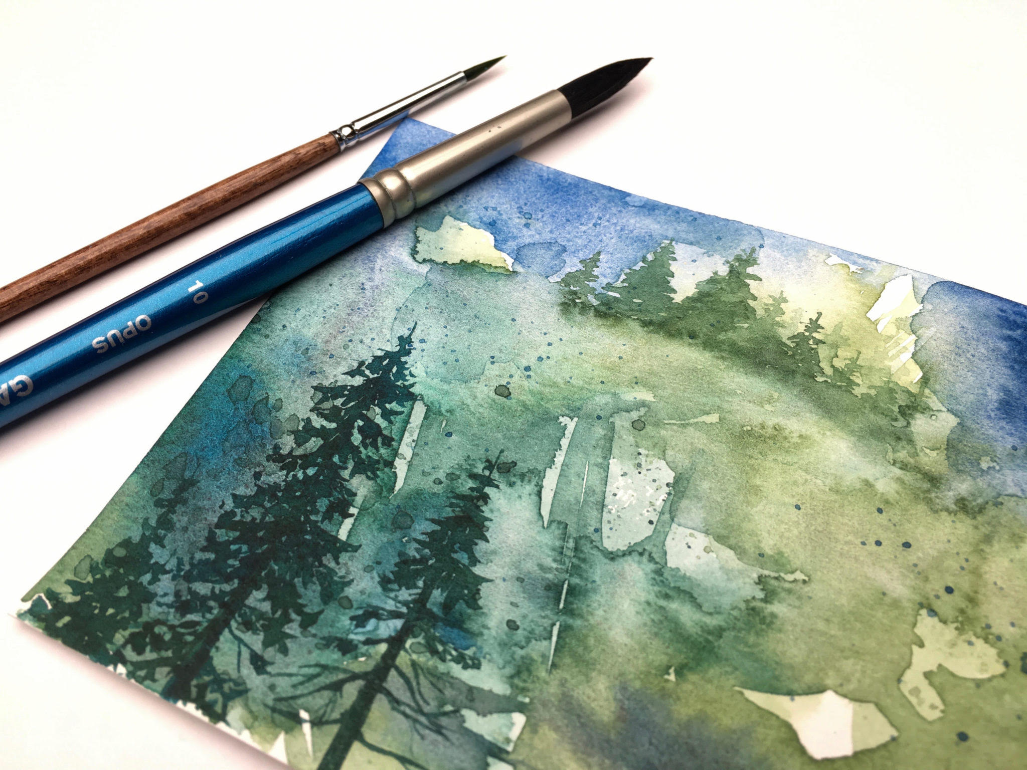 You are currently viewing Coastal Forests in Watercolour
