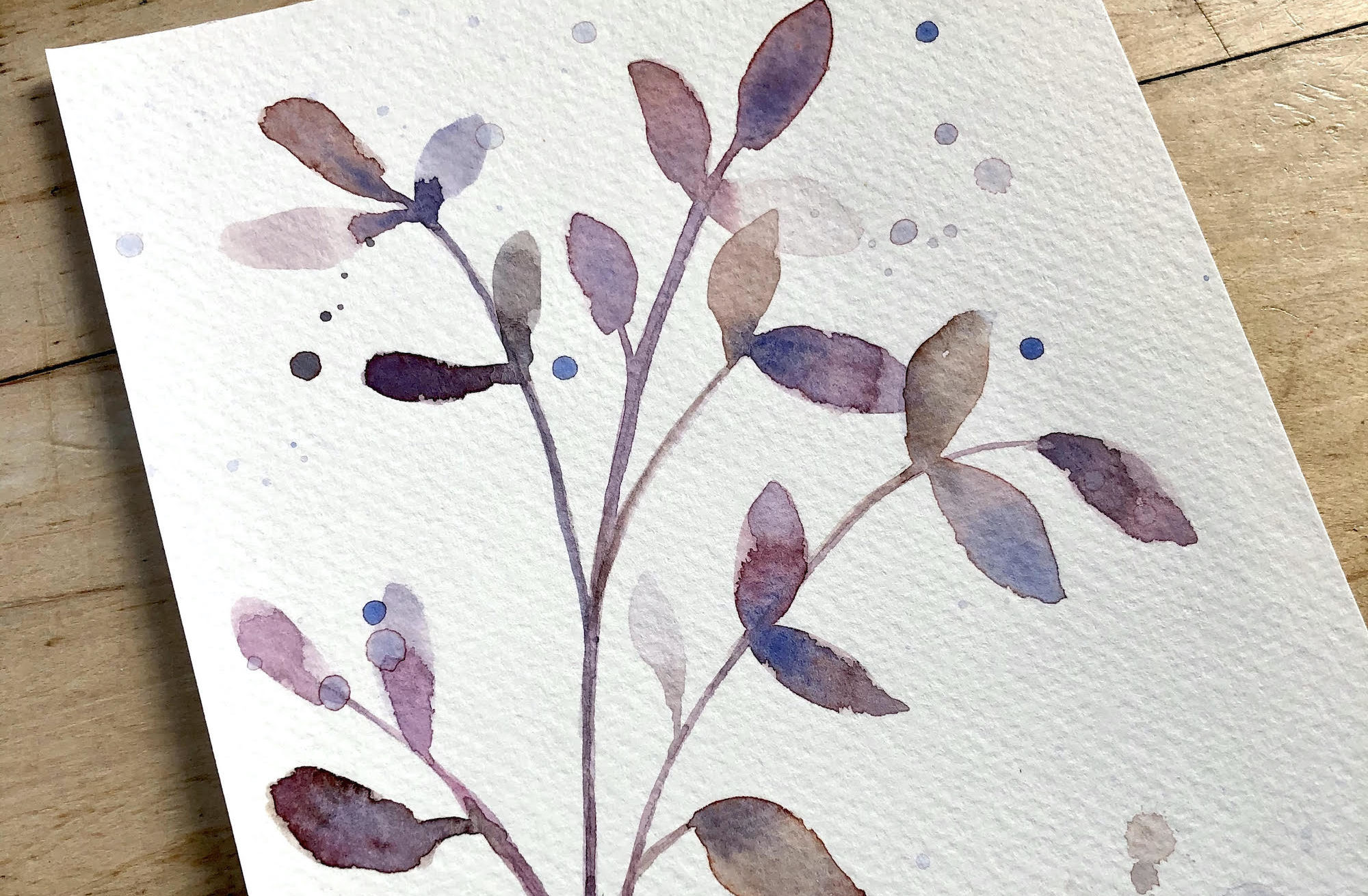 You are currently viewing Winter Botanicals in Watercolour with Nicole Warrington